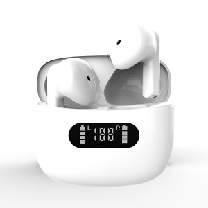 TWS Bluetooth 5.0 Earbuds
